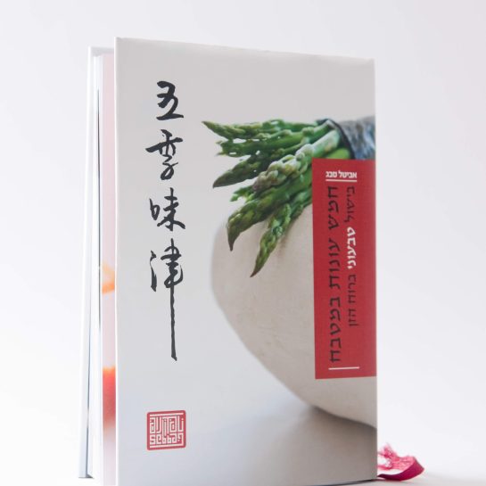 2Mefikim Photo- Maoz Vaystooch 001