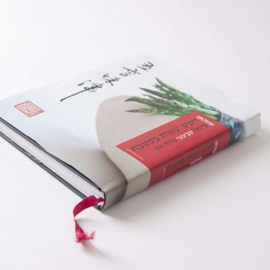 2Mefikim Photo- Maoz Vaystooch 004