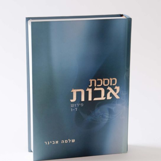 2Mefikim Photo- Maoz Vaystooch 014