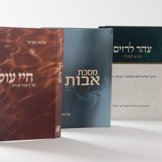 2Mefikim Photo- Maoz Vaystooch 025