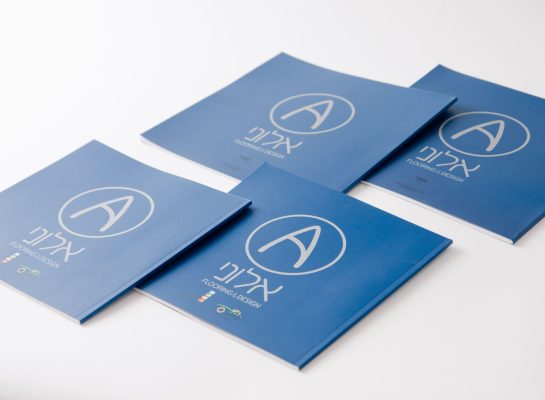 __2Mefikim Photo- Maoz Vaystooch 065 - עותק