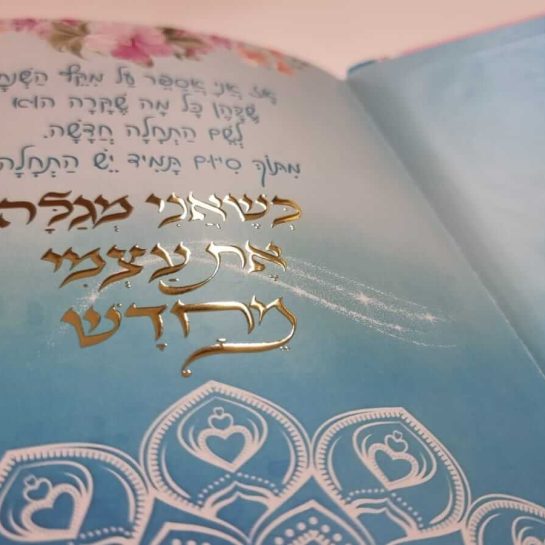 2efd7586-5e70-42b7-9a77-ca0143640a44