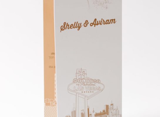 2mefikim Photo- Maoz Vaystooch 223