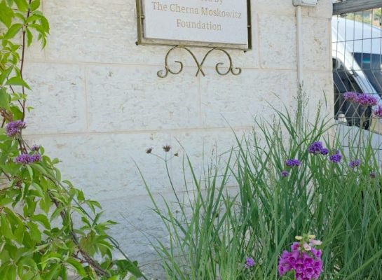 4a1caab0-a37e-4c94-a01f-dbf2d8beab74