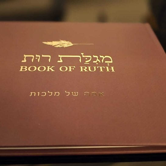 d75dec9e-d7e7-4dfe-99a7-45bb9aa37dae