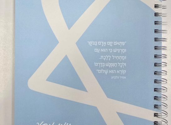 תמונה של WhatsApp_ 2025-06-11 בשעה 12.43.12_9c2fcd3d