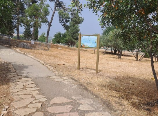 תמונה של WhatsApp‏ 2025-06-19 בשעה 06.19.22_6eba29dc