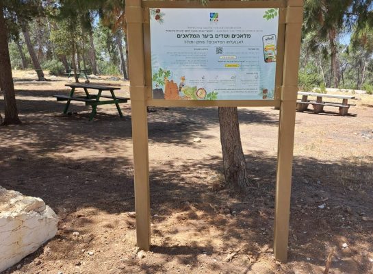 תמונה של WhatsApp‏ 2025-06-19 בשעה 06.19.26_8bda7eef