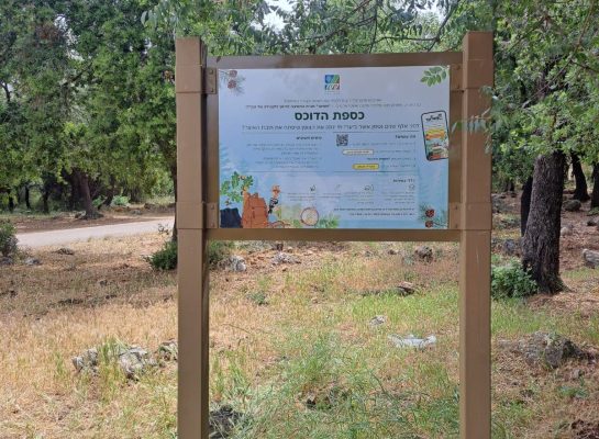 תמונה של WhatsApp‏ 2025-06-19 בשעה 06.19.28_cbec0e4e