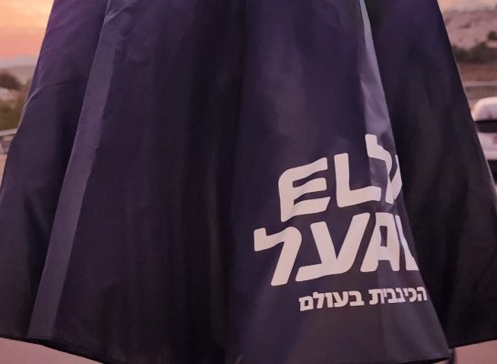 תמונה של WhatsApp‏ 2025-06-22 בשעה 19.44.15_8b761117