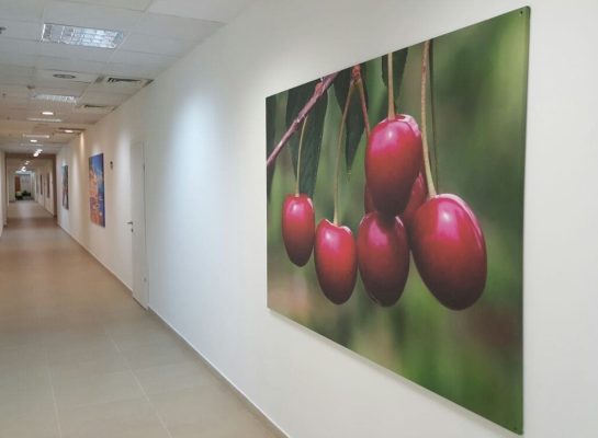 ‏‏a371fb76-a3ae-49d2-a1d5-90136830332e - עותק